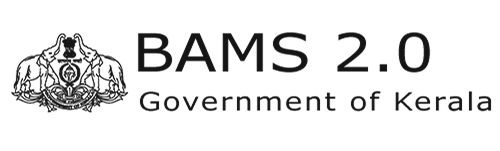 BAMS